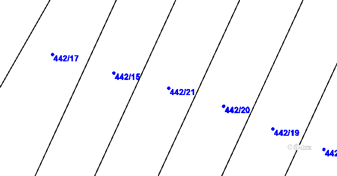 Parcela st. 442/21 v KÚ Brtnický Číchov, Katastrální mapa