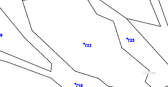 Parcela st. 722 v KÚ Brtnický Číchov, Katastrální mapa