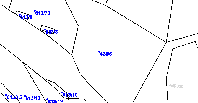 Parcela st. 424/6 v KÚ Krsice, Katastrální mapa