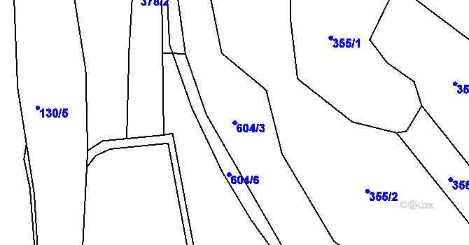 Parcela st. 604/3 v KÚ Krsice, Katastrální mapa