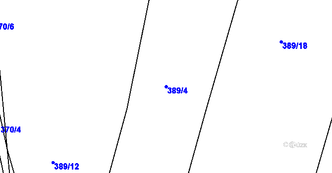Parcela st. 389/4 v KÚ Rakovice, Katastrální mapa