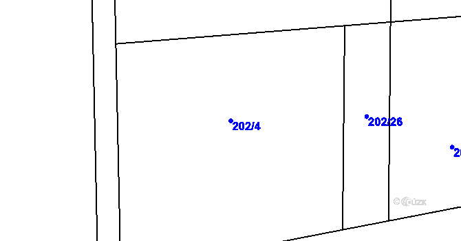 Parcela st. 202/4 v KÚ Číměř nad Jihlavou, Katastrální mapa