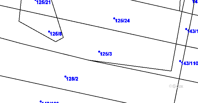 Parcela st. 125/3 v KÚ Čižice, Katastrální mapa
