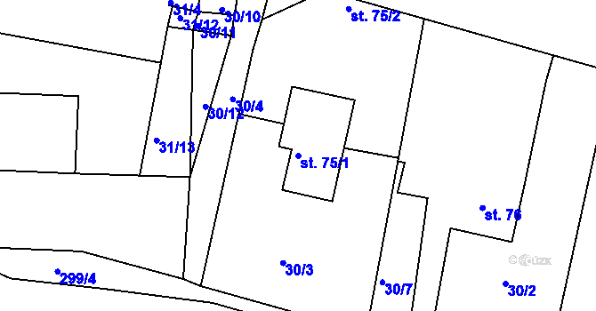 Parcela st. 75/1 v KÚ Nová Ves u Čížové, Katastrální mapa