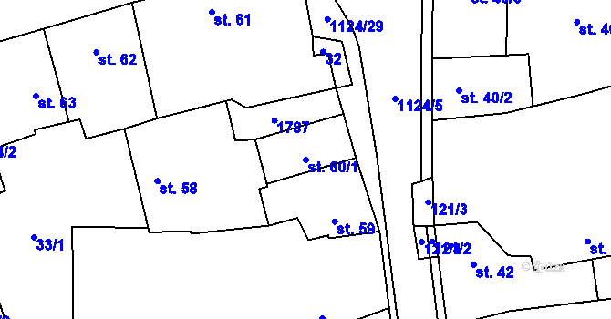 Parcela st. 60/1 v KÚ Čkyně, Katastrální mapa