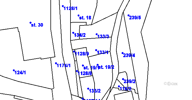 Parcela st. 133/1 v KÚ Čkyně, Katastrální mapa