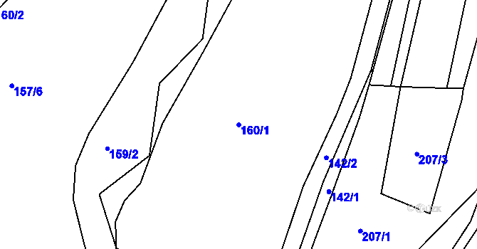 Parcela st. 160/1 v KÚ Čkyně, Katastrální mapa