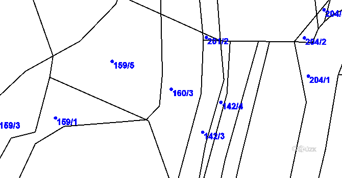 Parcela st. 160/3 v KÚ Čkyně, Katastrální mapa