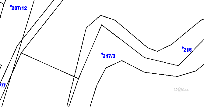 Parcela st. 217/3 v KÚ Čkyně, Katastrální mapa