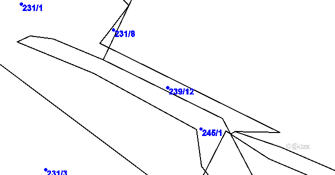 Parcela st. 239/12 v KÚ Čkyně, Katastrální mapa