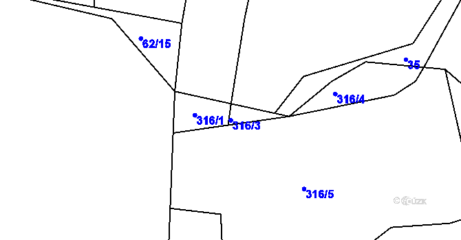 Parcela st. 316/3 v KÚ Čkyně, Katastrální mapa
