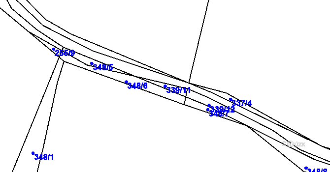 Parcela st. 339/11 v KÚ Čkyně, Katastrální mapa