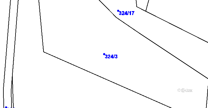 Parcela st. 324/3 v KÚ Dolany u Čkyně, Katastrální mapa