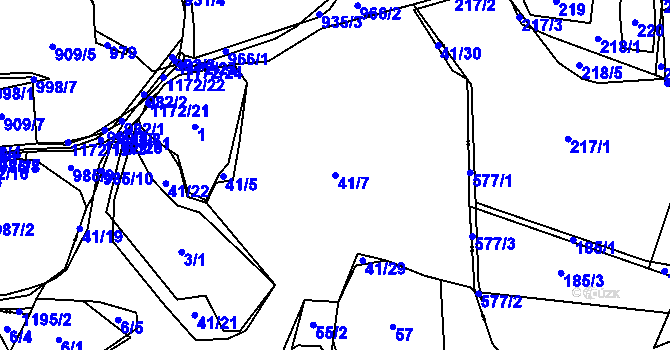 Parcela st. 41/7 v KÚ Dolany u Čkyně, Katastrální mapa