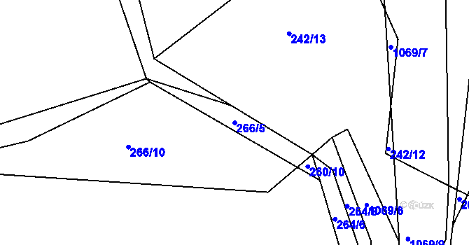 Parcela st. 266/5 v KÚ Dolany u Čkyně, Katastrální mapa