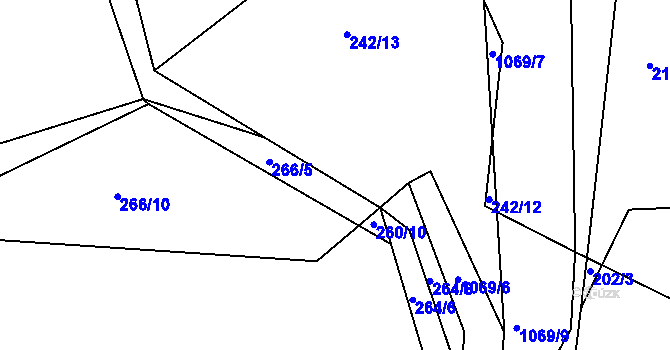 Parcela st. 266/11 v KÚ Dolany u Čkyně, Katastrální mapa