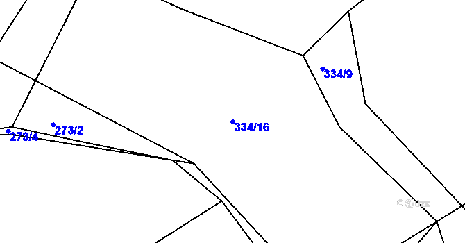 Parcela st. 334/16 v KÚ Dolany u Čkyně, Katastrální mapa