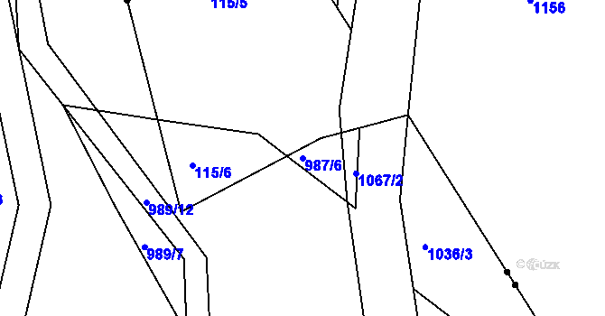 Parcela st. 987/6 v KÚ Dolany u Čkyně, Katastrální mapa