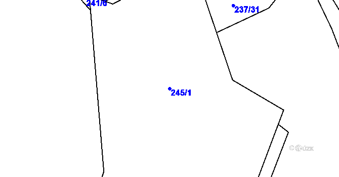 Parcela st. 245/1 v KÚ Předenice u Čkyně, Katastrální mapa