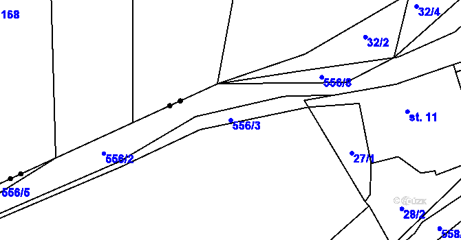 Parcela st. 556/3 v KÚ Předenice u Čkyně, Katastrální mapa