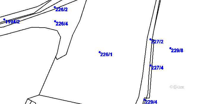 Parcela st. 226/1 v KÚ Předenice u Čkyně, Katastrální mapa