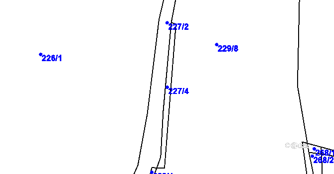 Parcela st. 227/4 v KÚ Předenice u Čkyně, Katastrální mapa