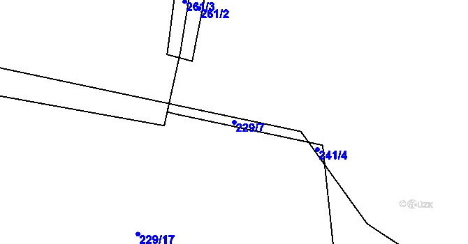 Parcela st. 229/7 v KÚ Předenice u Čkyně, Katastrální mapa