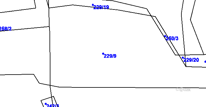 Parcela st. 229/9 v KÚ Předenice u Čkyně, Katastrální mapa
