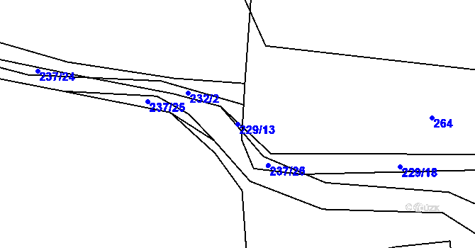 Parcela st. 229/13 v KÚ Předenice u Čkyně, Katastrální mapa