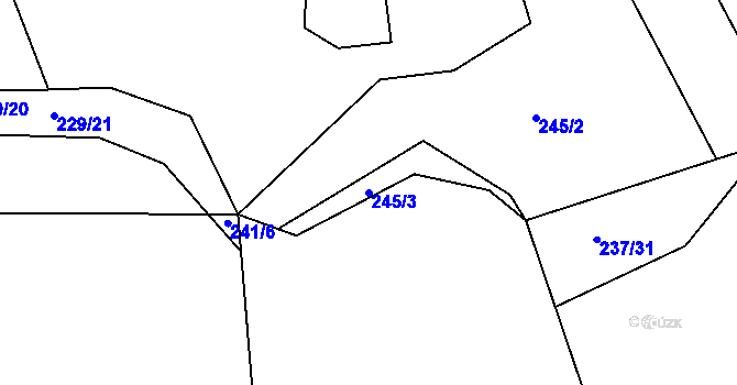 Parcela st. 245/3 v KÚ Předenice u Čkyně, Katastrální mapa