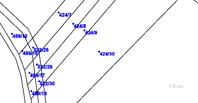 Parcela st. 424/10 v KÚ Spůle u Čkyně, Katastrální mapa
