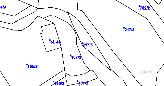 Parcela st. 217/5 v KÚ Čtyřkoly, Katastrální mapa
