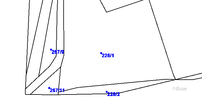 Parcela st. 228/1 v KÚ Čtyřkoly, Katastrální mapa