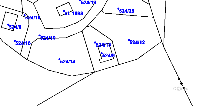 Parcela st. 524/9 v KÚ Čtyřkoly, Katastrální mapa