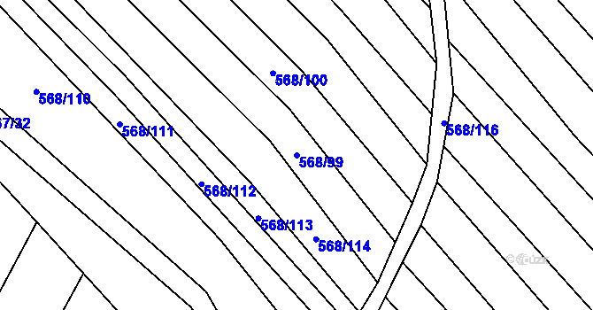 Parcela st. 568/99 v KÚ Čučice, Katastrální mapa