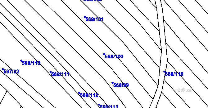 Parcela st. 568/100 v KÚ Čučice, Katastrální mapa