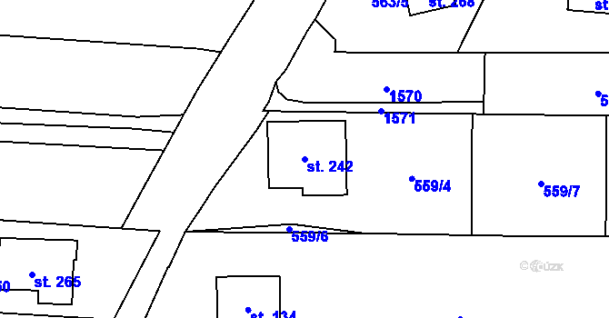 Parcela st. 242 v KÚ Čunín, Katastrální mapa