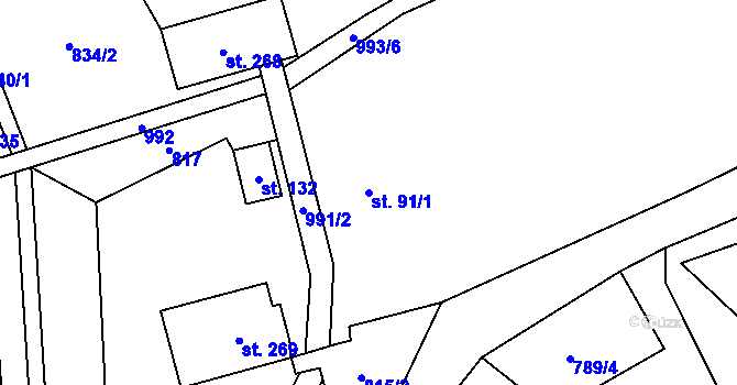 Parcela st. 91/1 v KÚ Dalečín, Katastrální mapa
