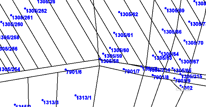 Parcela st. 1305/59 v KÚ Dambořice, Katastrální mapa