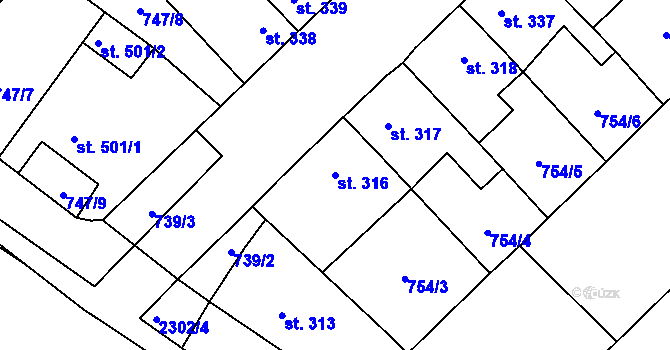Parcela st. 316 v KÚ Dašice, Katastrální mapa