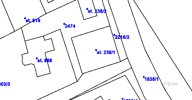 Parcela st. 238/1 v KÚ Dašice, Katastrální mapa
