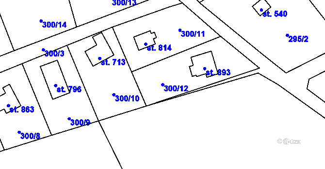 Parcela st. 300/12 v KÚ Davle, Katastrální mapa