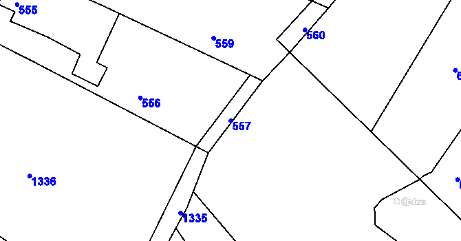 Parcela st. 557 v KÚ Deblín, Katastrální mapa