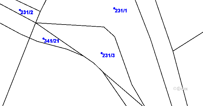 Parcela st. 231/3 v KÚ Děbolín, Katastrální mapa