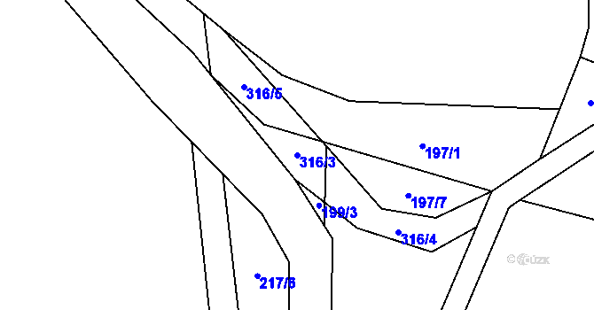 Parcela st. 316/3 v KÚ Lukohořany, Katastrální mapa