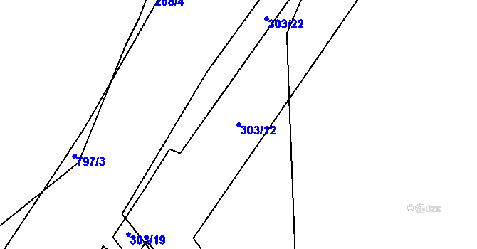 Parcela st. 303/12 v KÚ Onšovice u Dehtářů, Katastrální mapa