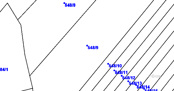 Parcela st. 548/9 v KÚ Děkanovice, Katastrální mapa