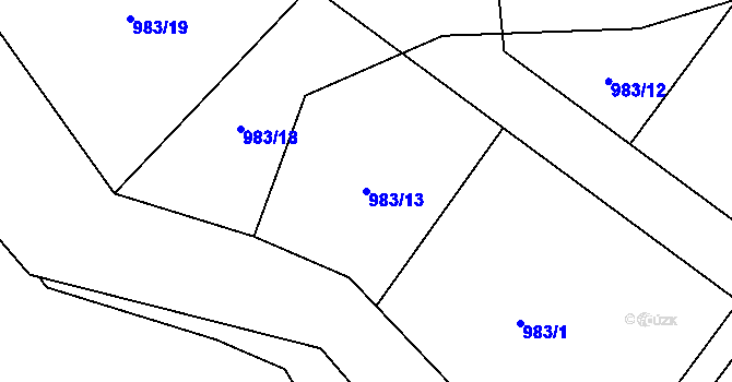 Parcela st. 983/13 v KÚ Děpoltovice, Katastrální mapa