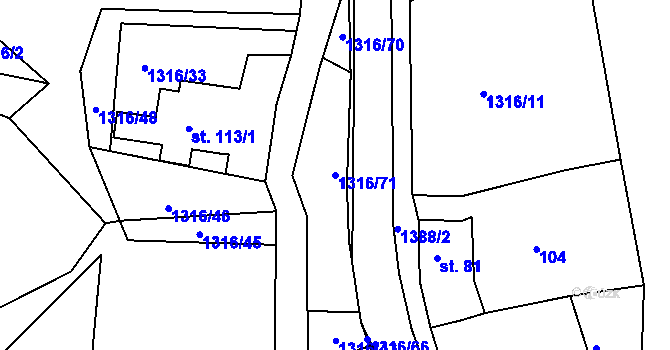 Parcela st. 1316/71 v KÚ Děpoltovice, Katastrální mapa