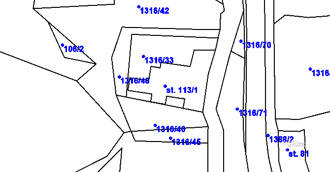 Parcela st. 113/1 v KÚ Děpoltovice, Katastrální mapa